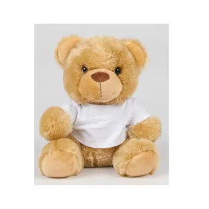 Bear in a T-Shirt