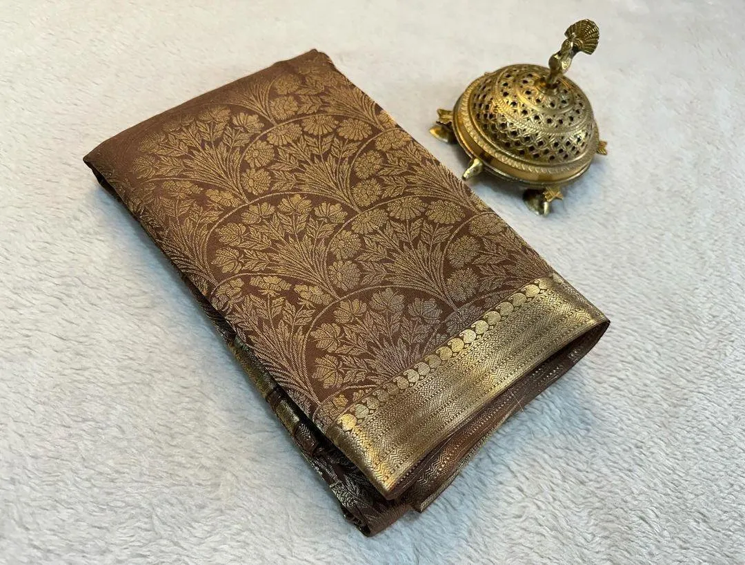 Elegant Drapes for Modern Women: Discover Mysore Silk