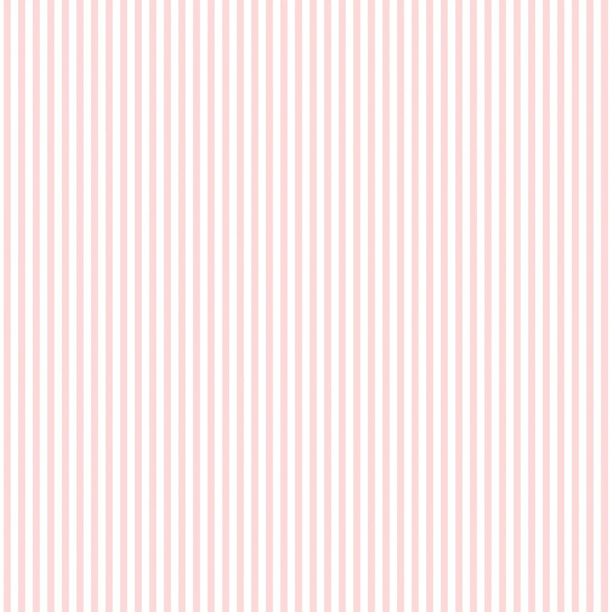 Galerie G67912 Pink Shirt Stripe