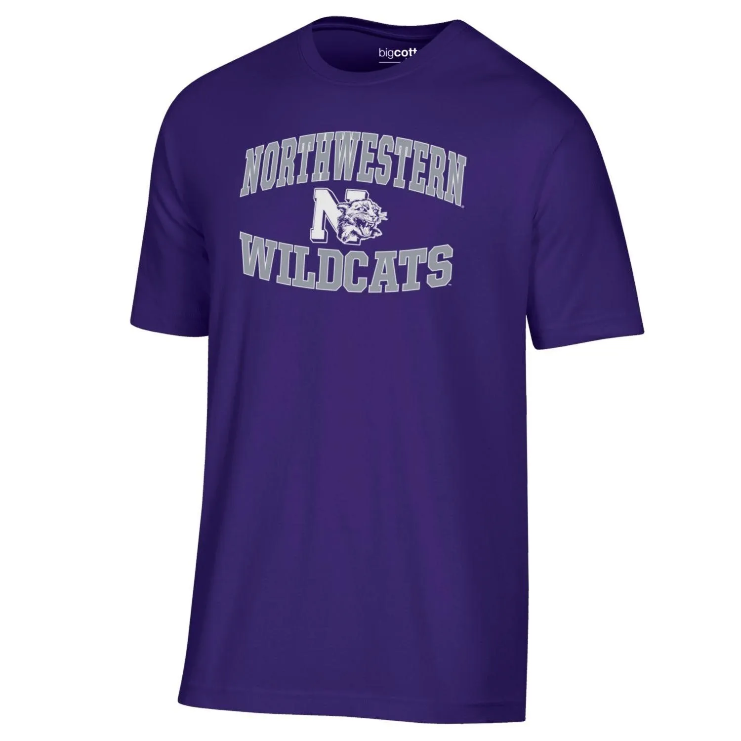 Northwestern Wildcats Men's Soft T-Shirt