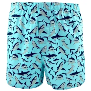 SHARK INFESTED COMFORT